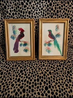Original Vintage Real Bird Feathers Paintings! Eclectic!